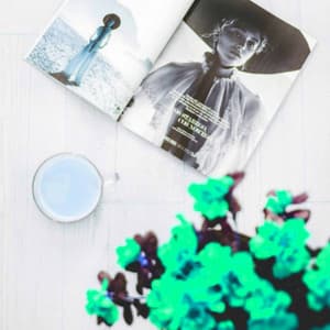 Elegant Bossa Guitars - Bgm for Thoughtful Time - Cool Jazz Moods