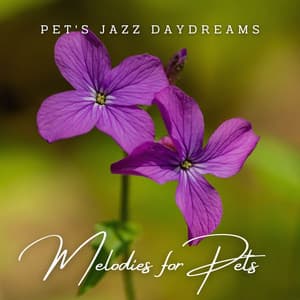 Jazz Paws & Lounge Whiskers: Melodies for Pets - Light Jazz Coffee House
