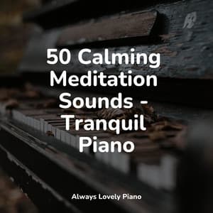 Soft Sounds of Peace & Relaxation - Romantic Piano Music