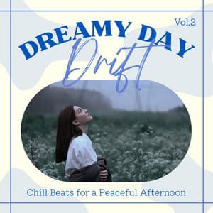 Dreamy Day Drift: Chill Beats for a Peaceful Afternoon Vol.2 - Laid Back Academy