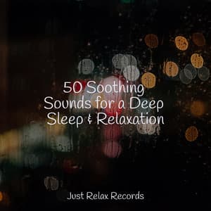 50 Soothing Sounds for a Deep Sleep & Relaxation - Música relaxante