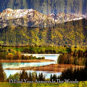 15 Find Your Answers In The Woods - Sound Library XL