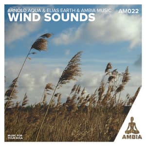 Wind Sounds - Elias Earth