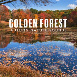Golden Forest: Autumn Nature Sounds, Falling Leaves, Birds Singing, Water Flow, Sound of Night - Hypnosis Nature Sounds Universe