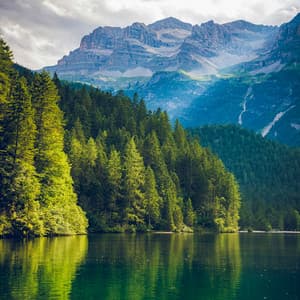 50 Ambient Nature Sounds: Hidden Meadow - Baltic Nature Sounds