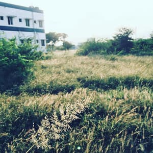 1 Clear Mind: Purely Focused - Yoga Music