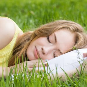 Birds Melodic Charm: Nature's Soothing Lullaby for Sleep - Calm Singing Birds Zone