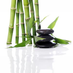 Serene Bamboo Haven: Zazen Meditation for Inner Peace and Clarity - Michael Freedom