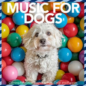 Music For Dogs - Calming Relaxation Sounds to Help Dogs and Puppies - Relaxmydog