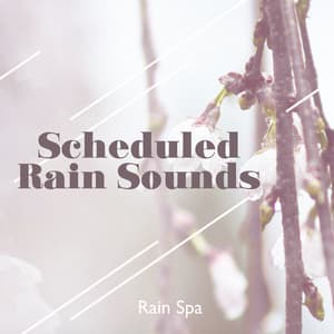 Scheduled Rain Sounds - Rain Spa