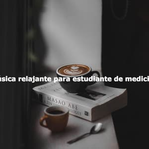 Música relajante para estudiante de medicina - Música Chill para Cafe