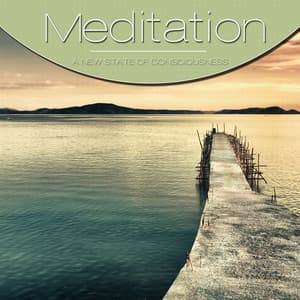 Meditation, Vol. Green - Vi-Starrs