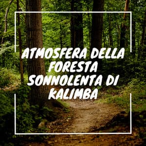 Atmosfera della foresta sonnolenta di kalimba - Musica Curativa Club