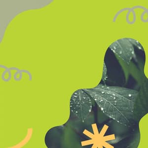 Music for Sitting Back Jazz - Retail Music