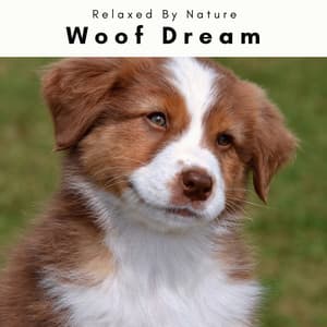 Woof Dream - Dogs Music Therapy
