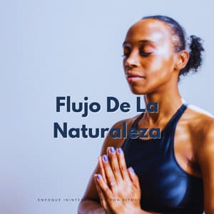Flujo De La Naturaleza: Enfoque Ininterrumpido Con Ritmos Binaurales - Ondas Alfa Puras