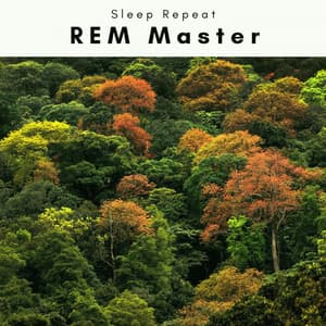 4 Dream: REM Master - Sleep Repeat