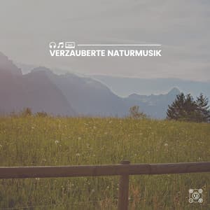 Verzauberte Naturmusik - Naturgeräusche