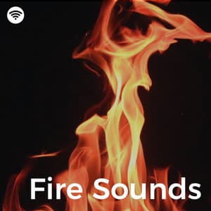 Fire Sounds - Fireplace Music