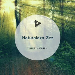 Naturaleza Zzz - Lullify Español