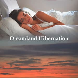 Dreamland Hibernation - The Background Noise Company
