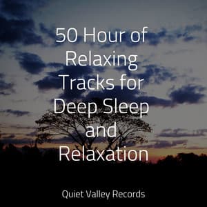 50 Hour of Relaxing Tracks for Deep Sleep and Relaxation - Sonidos de lluvia para dormir