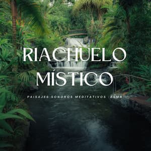 Riachuelo Místico: Paisajes Sonoros Meditativos - Mejores Sonidos ASMR