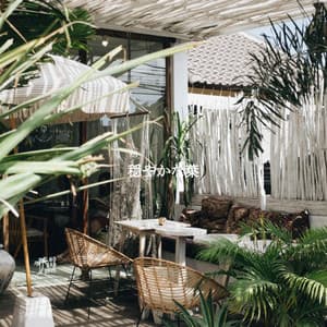 穏やかな葉 - Calm Dinner Music