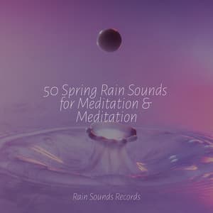 50 Spring Rain Sounds for Meditation & Meditation - Sons da natureza HD