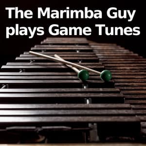The Marimba Guy plays Game Tunes - Marimba Guy
