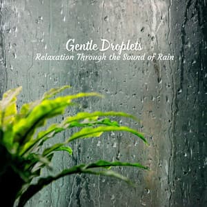 Gentle Droplets: Relaxation Through the Sound of Rain - Rain Sounds for Sleep Aid