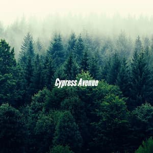 Cypress Avenue - Cafe de Musica Instrumental