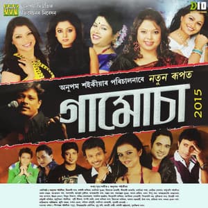 Gamusa 2015 - Anupam Saikia