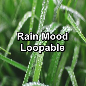 Rain Mood Loopable - Sounds Of Thunder