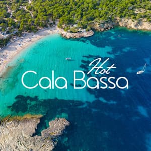 Hot Cala Bassa: Uplifting Beach Music Mix 2023 - Beach House Chillout Music Academy