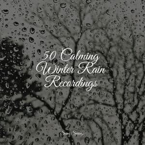 50 Calming Winter Rain Recordings - Hipnose Natureza Sons Coleção