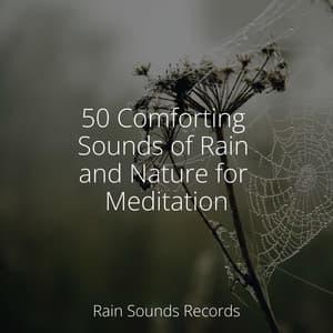 50 Comforting Sounds of Rain and Nature for Meditation - Deep Sleep Relaxation