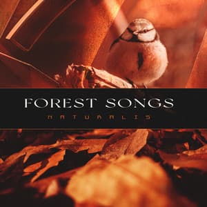 Forest Songs - Naturalis