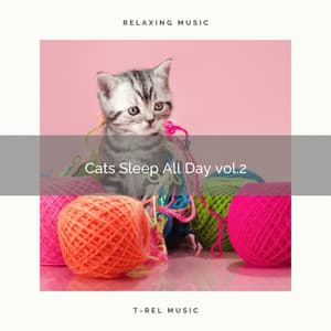 2022 Cats Sleep All Day vol.2 - Cat Music Experience