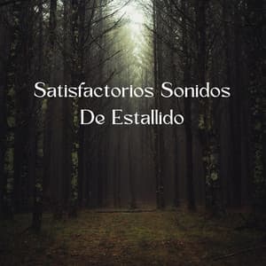 Satisfactorios Sonidos De Estallido - Música Ambiental para Bares