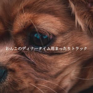 わんこのディナータイム用まったりトラック - Relaxing Coffee Shop