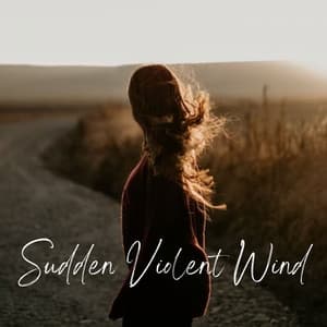 Sudden Violent Wind - Mother Nature Sound FX