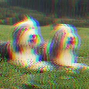 Understated Piano Jazz Duo - Background for Doggy Legends - Calm Dog Music