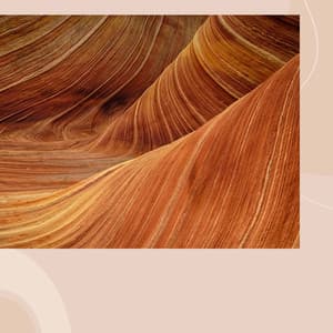 Bari Sax Jazz - Bgm for Coffee and Summer - Coffee and Jazz