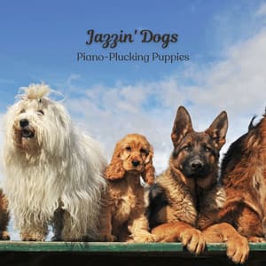 Jazzin' Dogs: Piano-Plucking Puppies - Chill Jazz Vibes