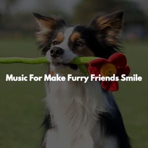 Music For Make Furry Friends Smile - Jazz for Work Playlists