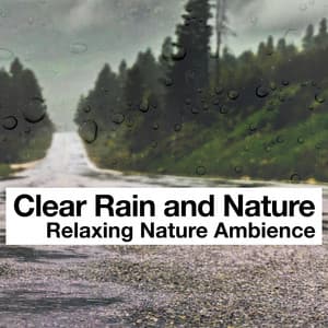 Clear Rain and Nature - Relaxing Nature Ambience