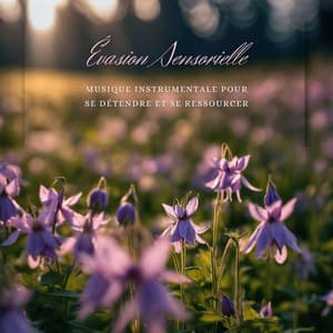 Évasion Sensorielle - Musique Instrumentale pour se Détendre et se Ressourcer - Oasis de Détente et Relaxation