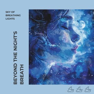 Beyond the Night's Breath: Insights into 4-4-4-4 with Nature's Lullabies - Sky of Breathing Lights