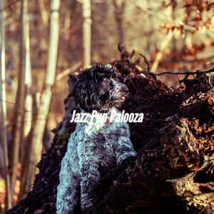 Jazz Pup Palooza - Music for Dogs Radio